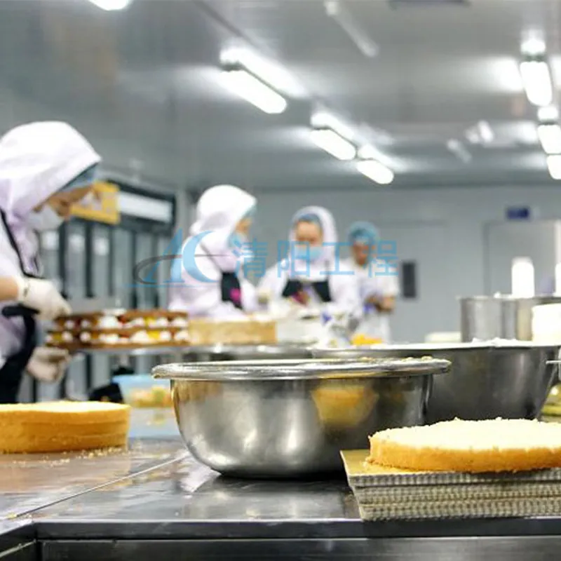 Проект компании Yongcheng Food по очистке чистых помещений класса GMP 100 000 (2)