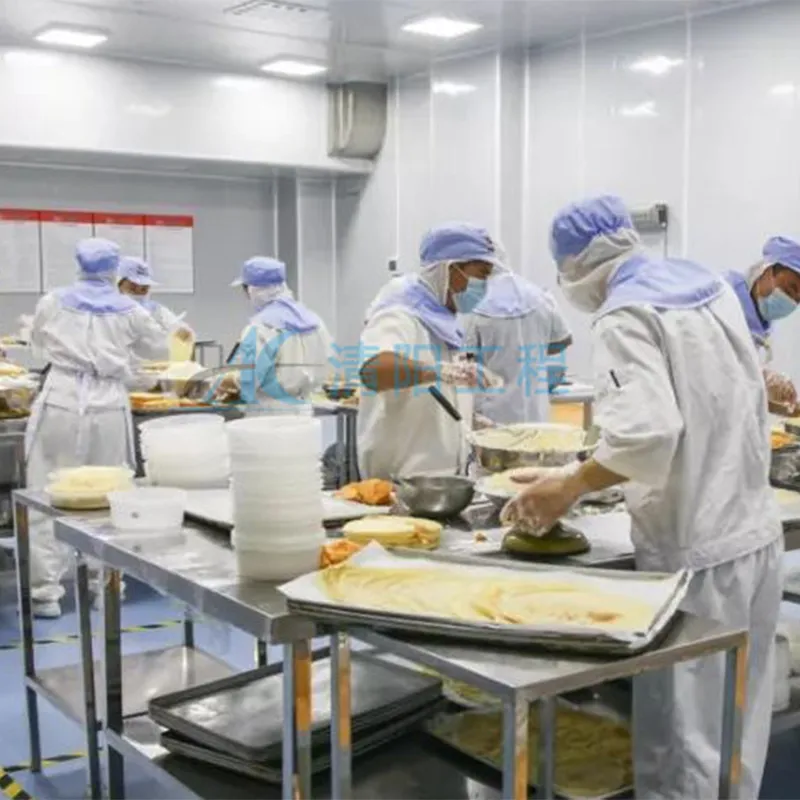 Проект компании Yongcheng Food по очистке чистых помещений класса GMP 100 000 (3)