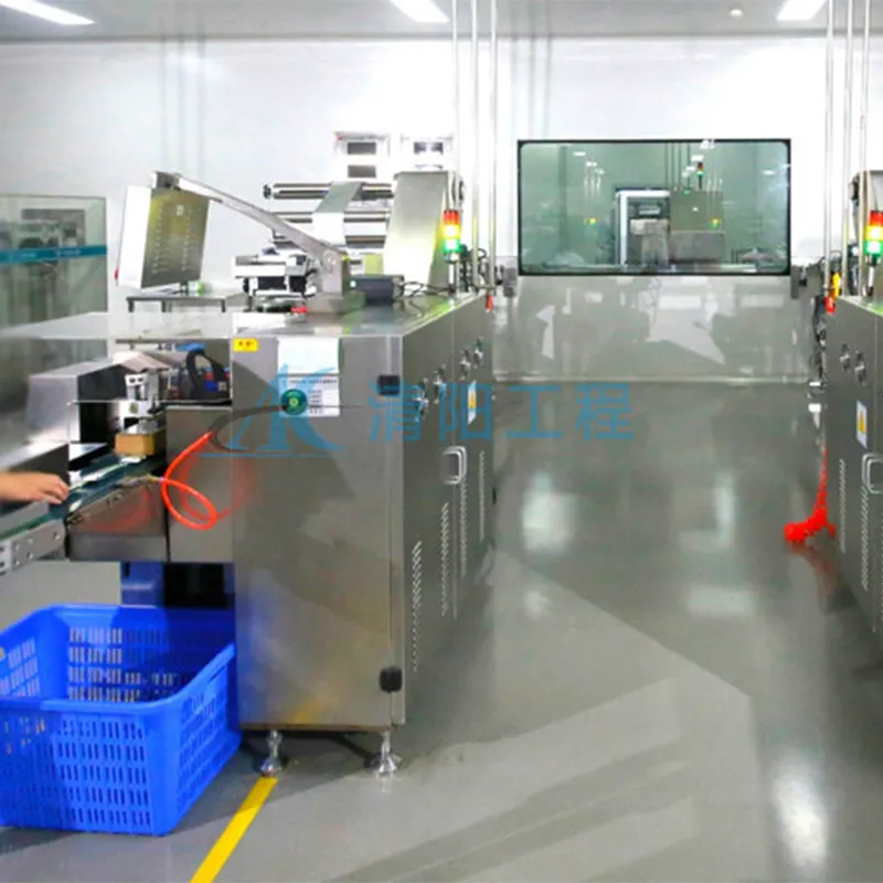 Проект очистки чистых помещений класса D GMP для фармацевтической компании Hunan Moujin Pharmaceutical Co., Ltd (2)