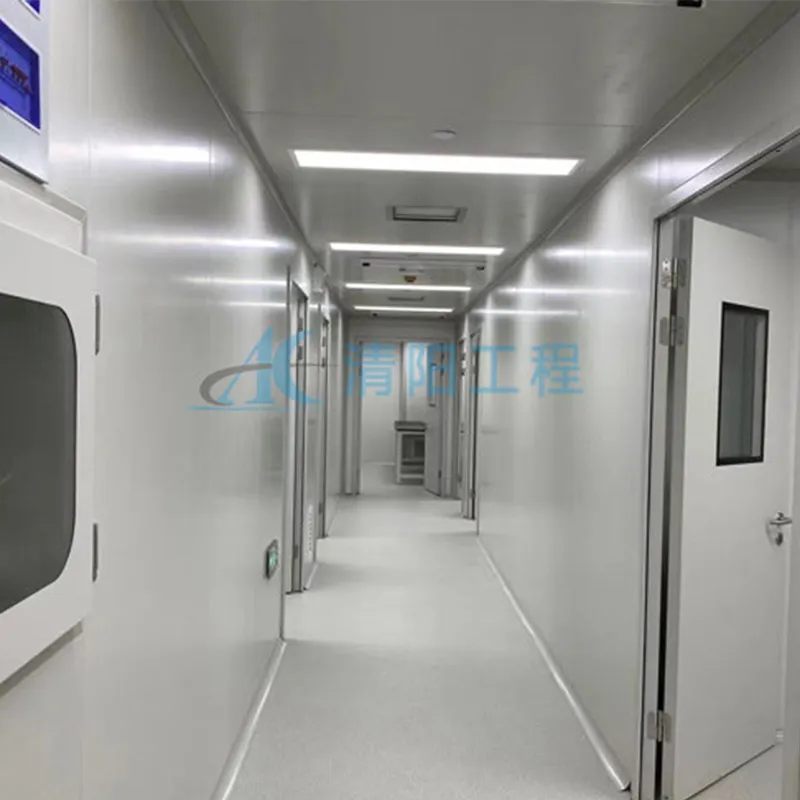 Проект создания чистой комнаты в клеточной лаборатории класса 10 000 GMP компании Iceland Sinica Biotechnology (2)