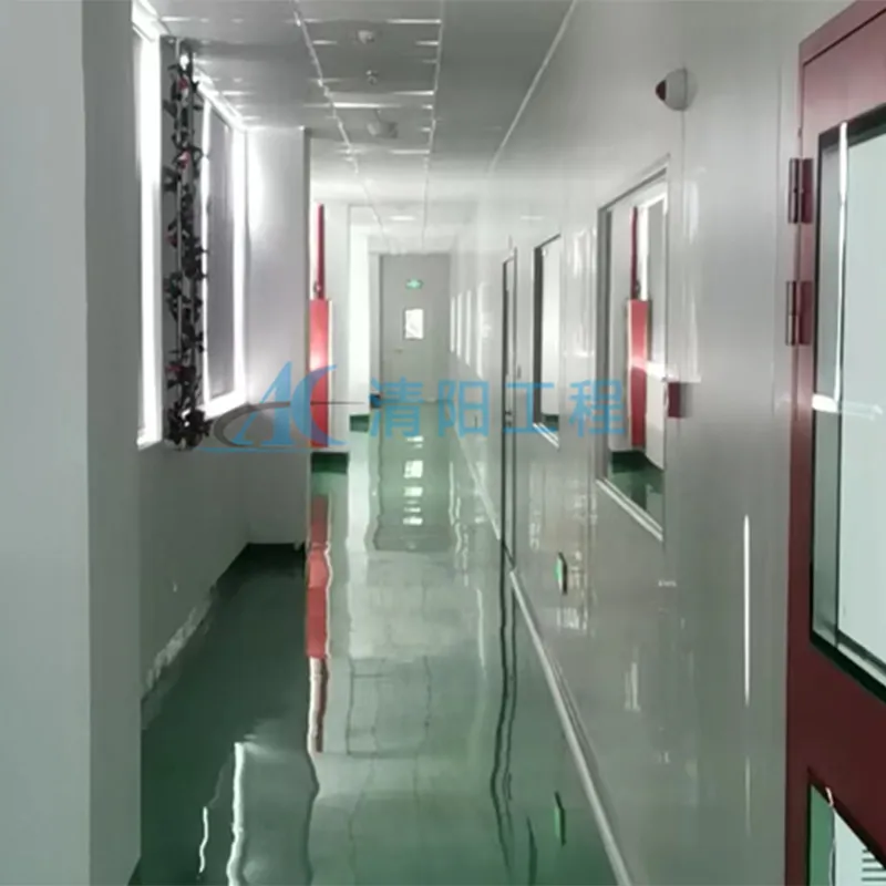 Чистое помещение класса 100 000 для производства электронных полупроводников в Сучжоу, провинция Цзянсу (3)